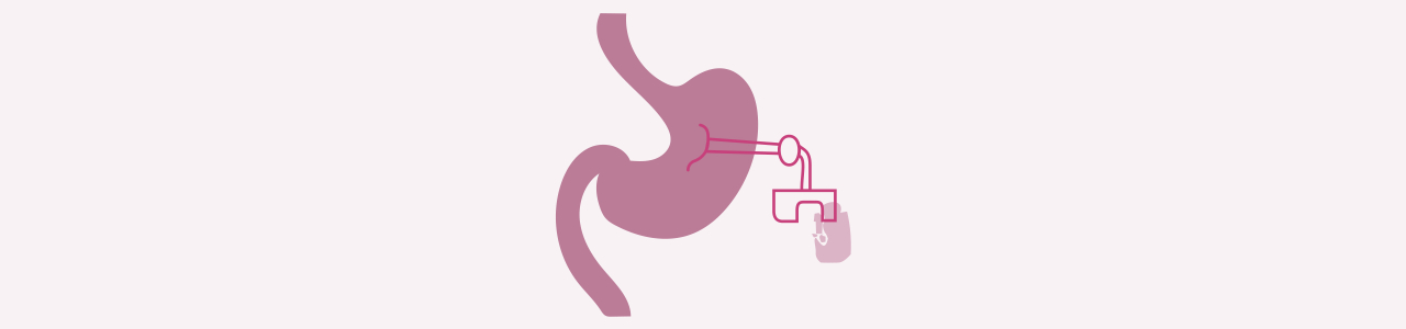 stomach.